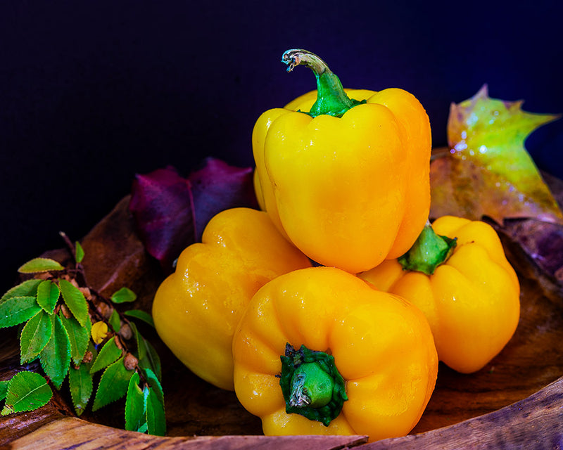 Capsicum, Yellow <br> (each)