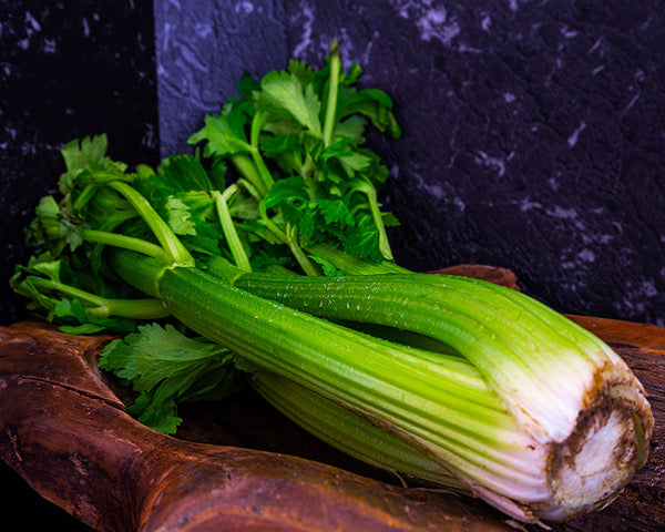 Celery <br> (CASE of 8 units)