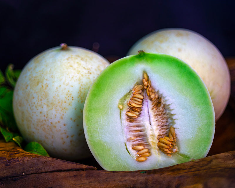 Honeydew Melon <br> (each)