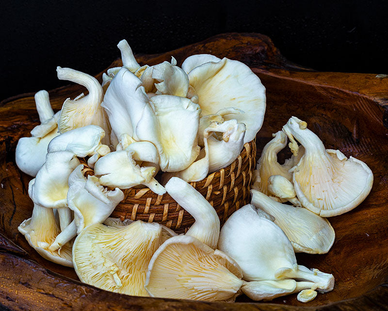 Mushrooms, Oyster <br> (150g pack)