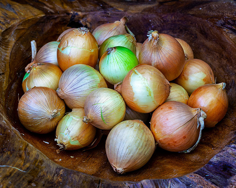 Onion, Brown Pickle <br> (~1kg bag)