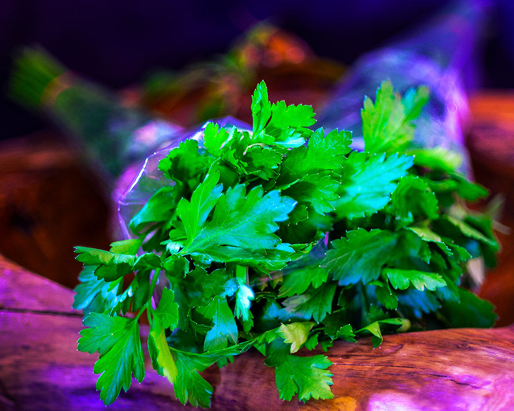 Parsley, Continental <br> (per bunch)