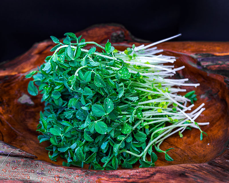 Snow Pea Sprouts <br> (250g punnet)