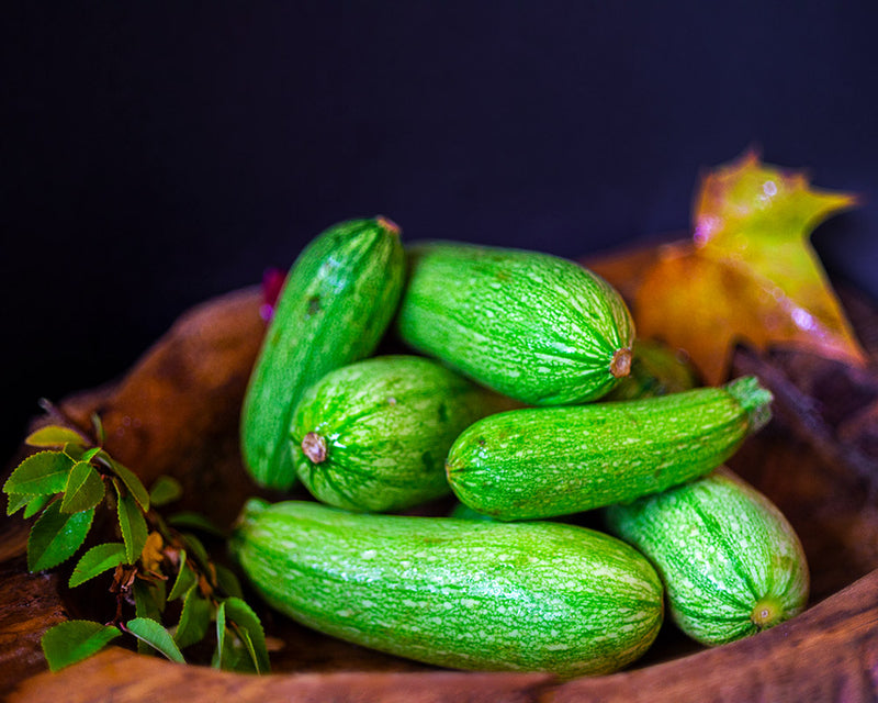 Zucchini, Lebanese <br> (~1kg bag)